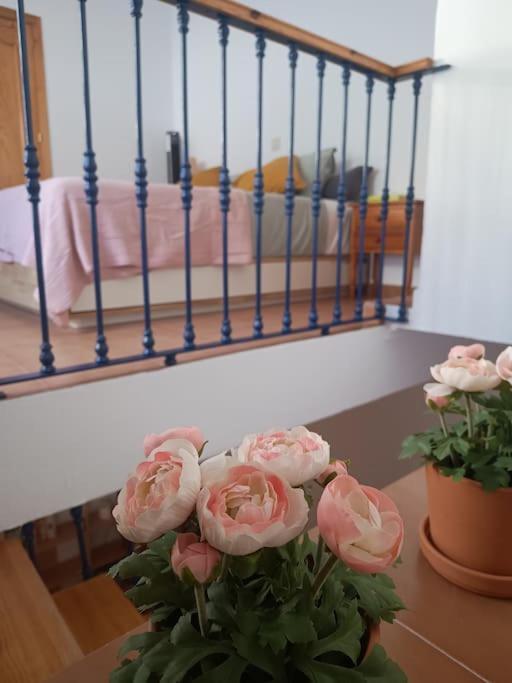 Casa Heli - Ruim Appartement Met Dakterras In Polopos Ngoại thất bức ảnh